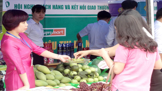 Hapro kết nối giao thương tiêu thụ nông sản Bắc Giang