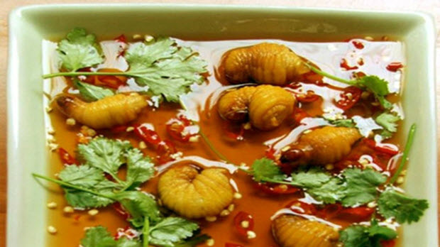 10 món đặc sản Việt làm bạn thấy khiếp đảm