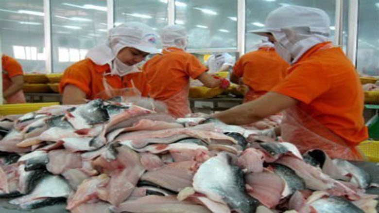  DN xuất khẩu cá tra vào Mỹ phải đăng ký lại
