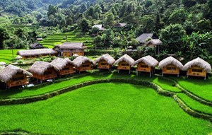  Hoang Su Phi Lodge 