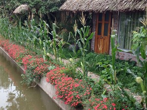  Thai Binh Garden