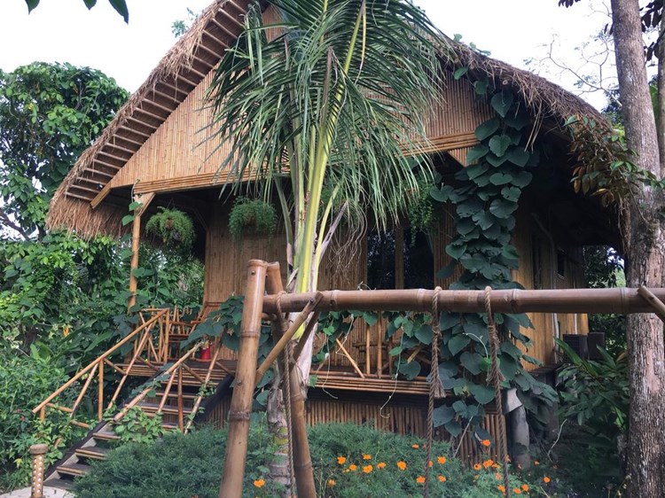 Bamboo Eco Village 
