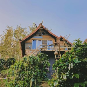 Cú Trên Cây Homestay