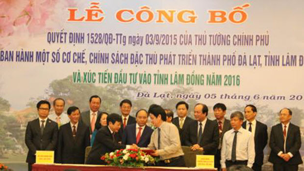 Dành hơn 11.000 tỷ đồng phát triển cây mắc ca tại Lâm Đồng