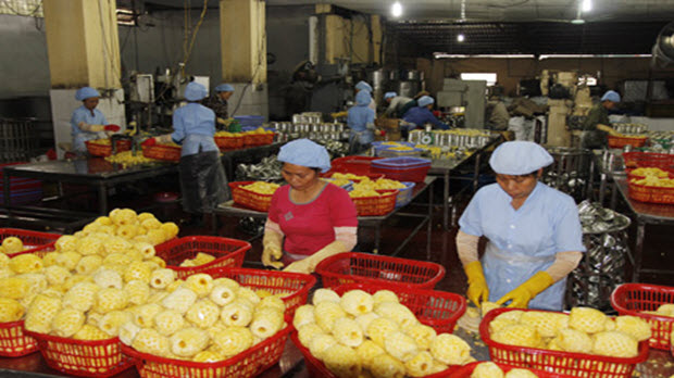 Lạc quan rau quả Việt xuất khẩu