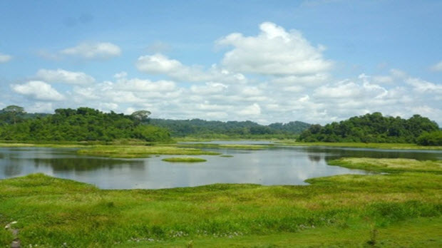 Khám phá thiên nhiên ở khu Ramsar thứ hai của Việt Nam