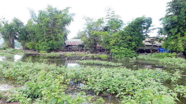 Khung cảnh bình yên của ngôi làng nằm bên hồ Lắk