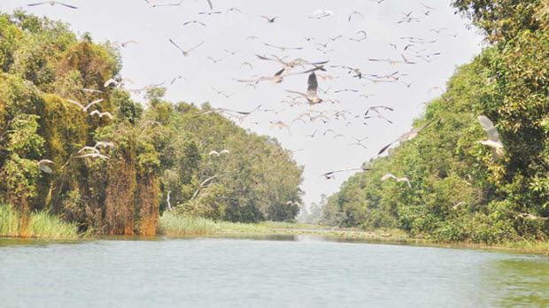 Láng Sen - Khu Ramsar của thế giới