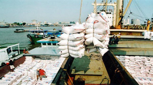  Xuất khẩu gạo: Nhiều rào cản khiến doanh nghiệp hoang mang