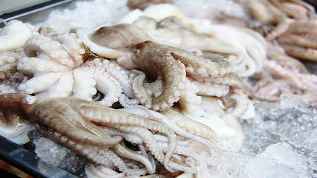  Nhiều tiềm năng xuất khẩu mực, bạch tuộc sang Trung Quốc