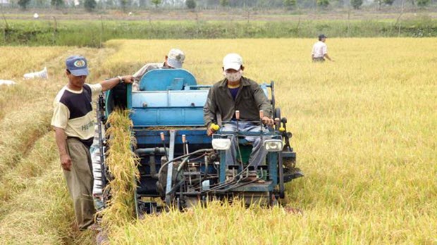 Bức tranh FDI vào nông nghiệp: Dự án ít, vốn thấp