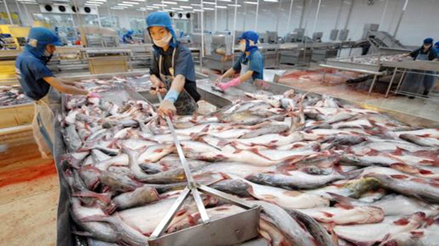  Thêm 2 doanh nghiệp được phép xuất khẩu cá tra vào Hoa Kỳ