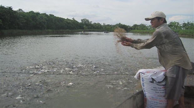 VietGap trong thủy sản được công nhận như GlobalGap