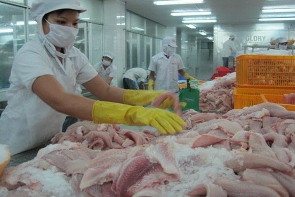 EU đổi quy định, xuất khẩu thực phẩm của Việt Nam sẽ bị ảnh hưởng