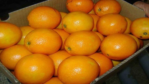  Cách phân biệt để không mua nhầm cam Việt và cam Trung Quốc