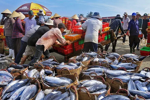 Việt Nam đang khai thác quá mức nguồn lợi thủy hải sản