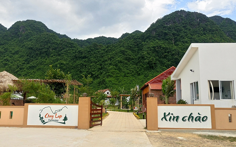 Khu Nghỉ Dưỡng Chày Lập Farmstay (Chay Lap Farmstay & Resort)