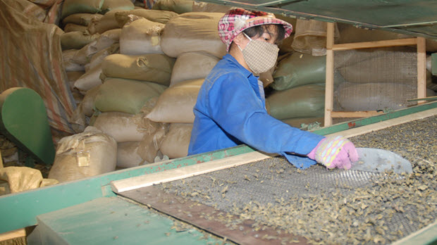 Phú Thọ: Đầu tư lớn cho phát triển làng nghề