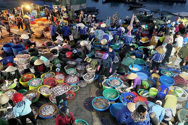 Chợ cá họp lúc 1h sáng ven vịnh Bái Tử Long