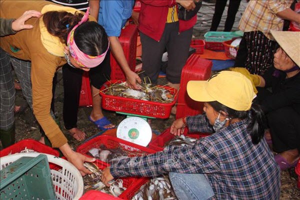 Độc đáo chợ cá Cồn Gò, Hà Tĩnh