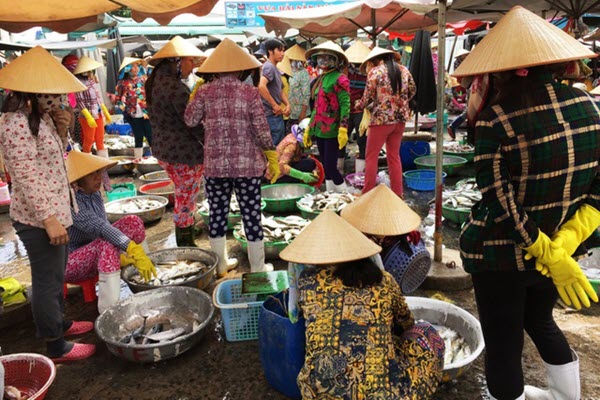 Nhộn nhịp chợ cá Phước Hải - Bà Rịa