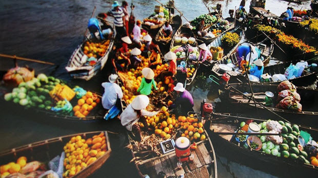  Thế giới đang bỏ cả tỷ USD để mua loại trái cây Việt nào?