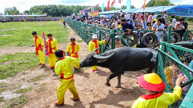 Các lễ hội chính ở Bình Phước