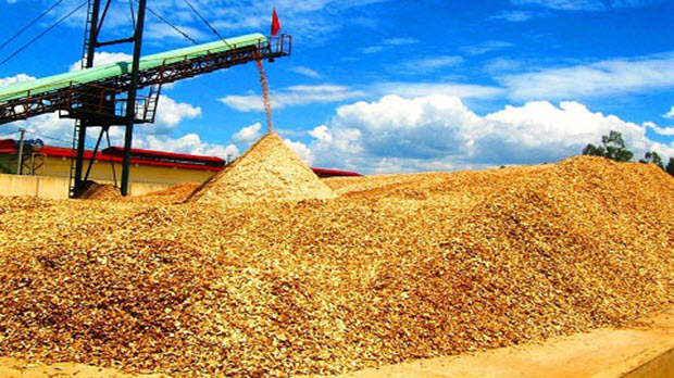 Trung Quốc lại "giở trò" ngừng thu mua dăm gỗ để ép giá?