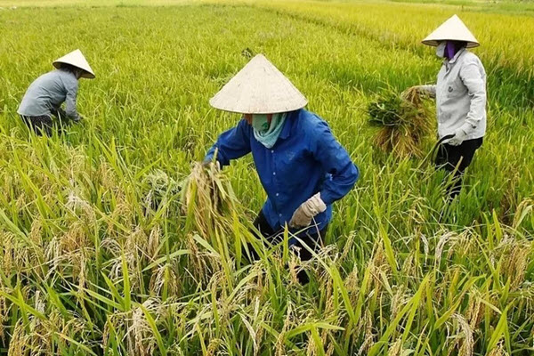 輸出の減速は、ベトナム経済の足かせになる可能性がある