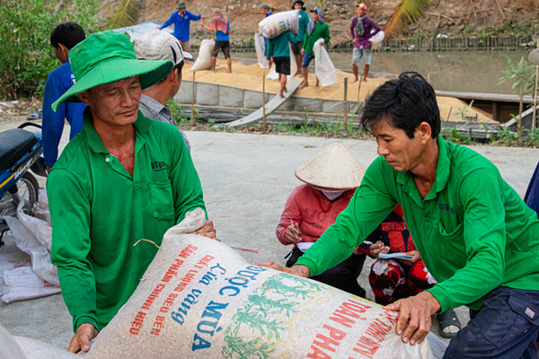 Giá gạo xuất khẩu của Việt Nam tăng cao nhất 2 năm