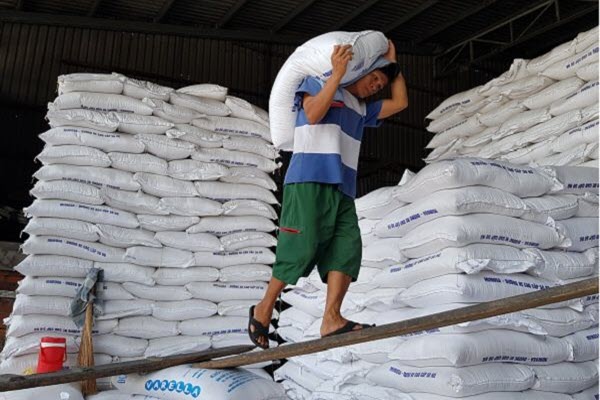 Đừng để cơ chế ‘giết chết’ doanh nghiệp gạo