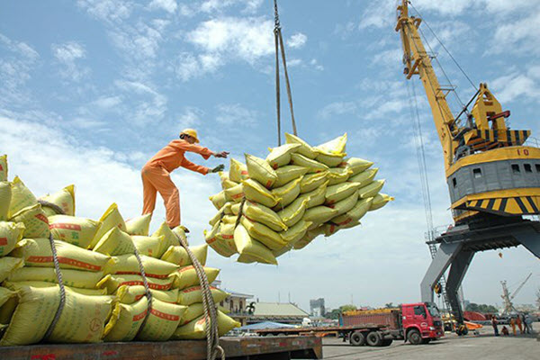 Giải mã đà tăng của giá gạo xuất khẩu