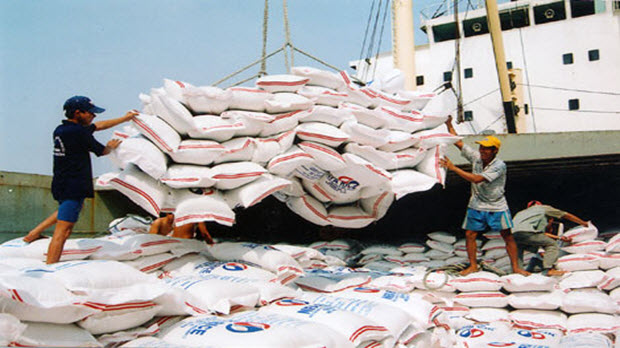 Nhiều giải pháp ổn định xuất khẩu gạo