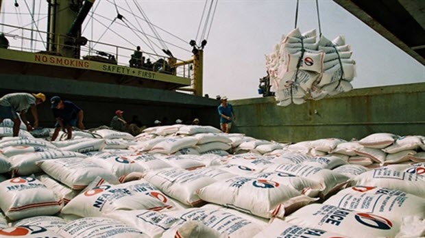  Dự báo thị trường xuất khẩu gạo Việt Nam năm 2018