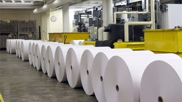  Đại gia Đài Loan muốn xây nhà máy giấy 240 triệu USD ở Việt Nam