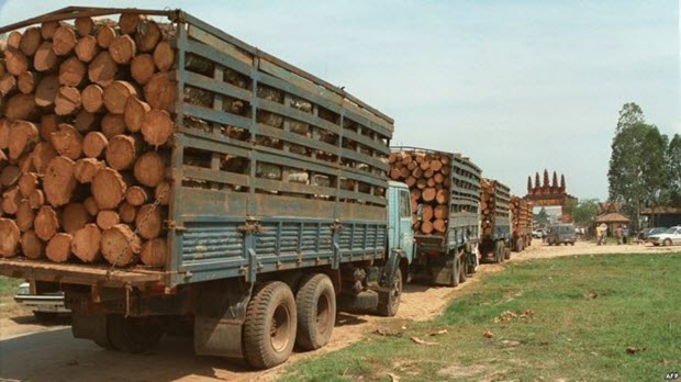  ​Việt Nam giảm nhập khẩu gỗ quý