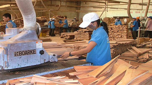 Lo ngại doanh nghiệp Trung Quốc “thâm nhập” ngành gỗ