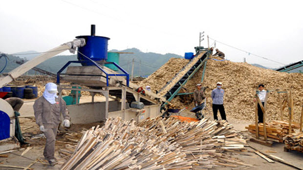 Kim ngạch xuất khẩu dăm gỗ giảm 40% về lượng và giá trị