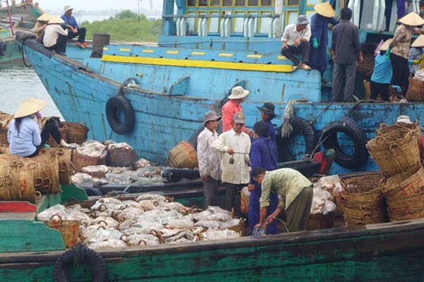 Thẻ vàng IUU khiến hải sản Việt Nam xuất khẩu vào EU giảm mạnh