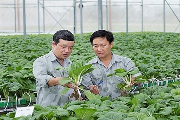 Hanoi seeks investment for 11 farming projects