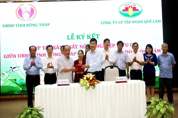 CTCP Tập đoàn Quế Lâm hợp tác với Đồng Tháp phát triển nông nghiệp hữu cơ