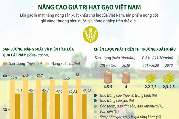[Infographic] Nâng cao giá trị hạt gạo Việt Nam