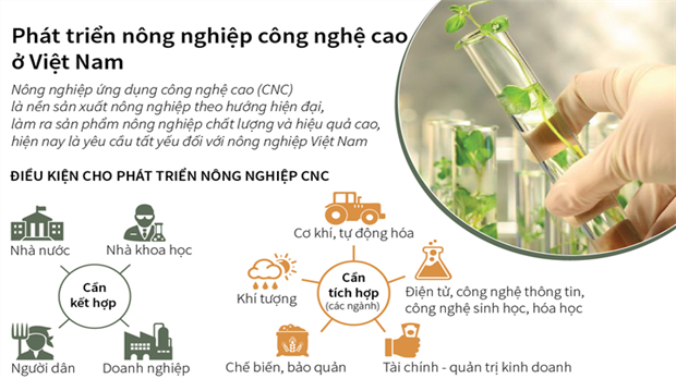  [Infographic] Phát triển nông nghiệp công nghệ cao ở Việt Nam