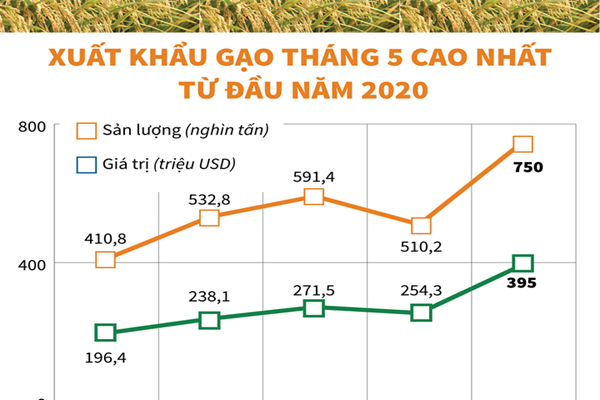 [Infographic] Xuất khẩu gạo tháng 5 cao nhất từ đầu năm 2020