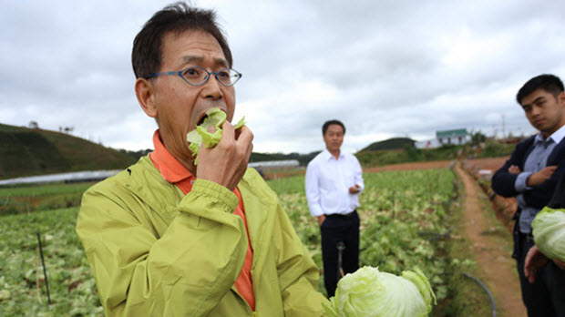  Kinh doanh nông sản sạch: Nhật bán xà lách 1,2 triệu đồng/kg, còn Việt Nam vẫn đang “lên vũ trụ bằng dép lốp”