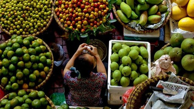 CIEM: “Kinh tế Việt Nam vẫn thiếu một động lực tăng trưởng đủ mạnh”
