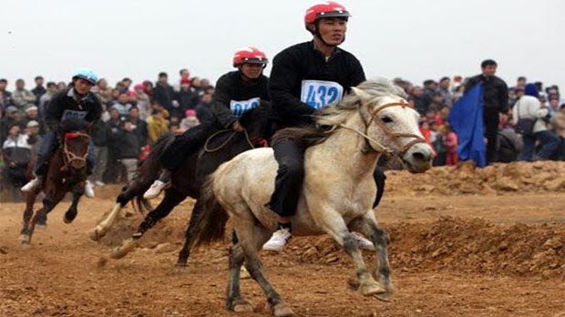  Ký kết MOU dự án trường đua ngựa quốc tế 1,5 tỷ USD ở Vĩnh Phúc