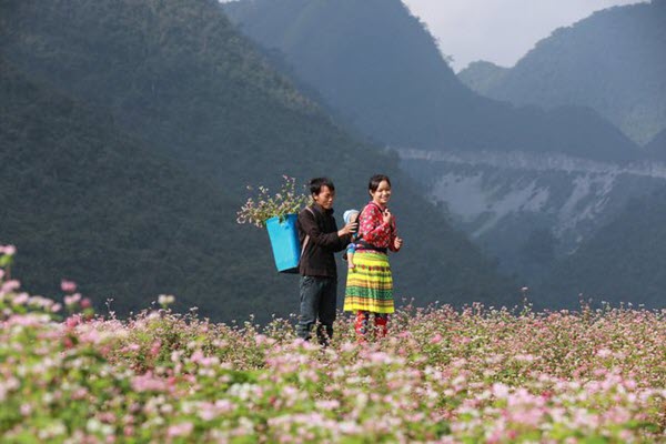 Có gì đặc biệt ở Lễ hội hoa tam giác mạch 2019 ở Hà Giang?
