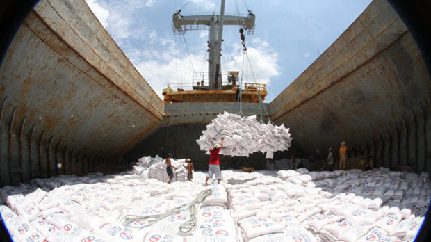  Lượng gạo xuất khẩu gạo giảm mạnh