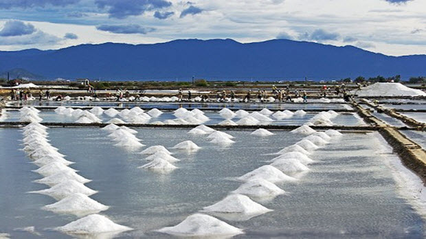 Bế tắc hạt muối Bạc Liêu, còn tồn hơn 94.000 tấn ngoài ruộng
